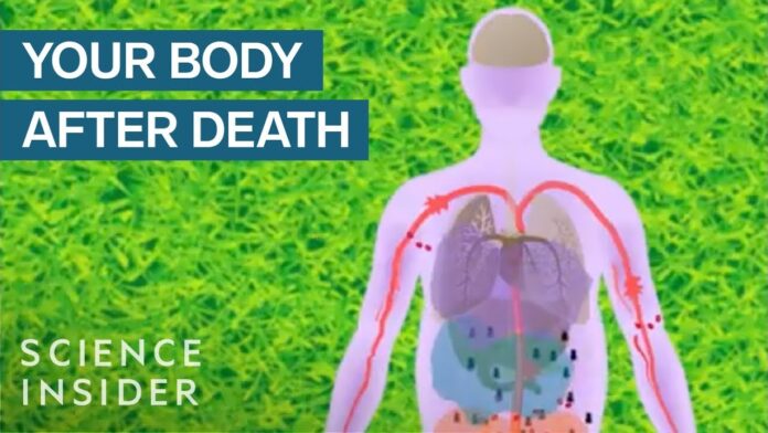 What happens after death | What changes occur in the body?