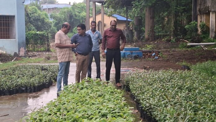 Asansol's Namesake Tree Makes a Comeback Thanks to BB College