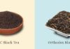सीटीसी चाय बनाम पत्ती वाली चाय (Orthodox Tea): आपके स्वास्थ्य के लिए कौन सी है बेहतर? CTC Tea vs. Leaf Tea | Which One Should You Choose for Your Health?