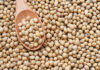 Soy bean: सोयाबीन,पोषण का खज़ाना, बेहतर स्वास्थ्य की मजबूत नींव