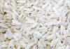 Gobindabhog Rice:मोदी के प्रयासों से वैश्विक मंच पर बंगाल का गोविंदभोग चावल! निर्यात और बेहतर मुनाफे की उम्मीद में किसान!!!