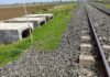 Railway Underpass:के लिए नहीं, बल्कि शेरों के लिए बना देश का पहला रेलवे अंडरपास: जानिए क्या है भारतीय रेलवे की यह अनोखी पहल!!!