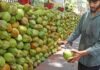 Coconut Production:नारियल उत्पादन में भारत का वैश्विक कीर्तिमान!!!पश्चिम बंगाल और प्रमुख राज्यों का शानदार योगदान!!!